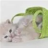green basket