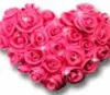 sparkling pink heart rose