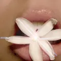 pretty jasmine