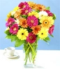 pretty flowers