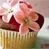 pretty cupcake