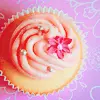 pretty cupcake
