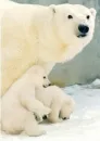 cuteeee