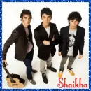 Jonas Brothers (with glitter boarder)- Shaikha