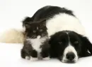 black&white