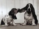 come on...let's play