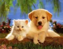 real pals