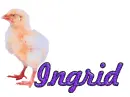 Ingrid-chick