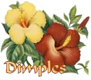 Dimples