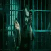 The joker