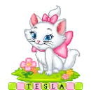 Blinkie- Tesla
