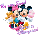 Be Back Soon - We're at Disneyland