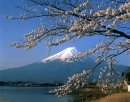 fujiyama