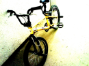 bmx