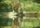 Philadelphia zoo