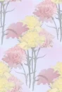 carnations