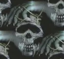 skull background 