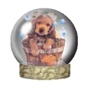 puppyglobe 