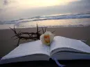 Bible and seashore