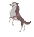 Jenna run