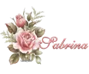 Roses with Sabrina