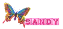 sandy