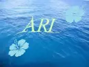 Ari