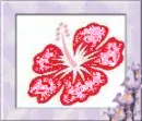 flying stars with hibiscus