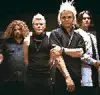 the rasmus black roses