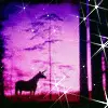 horse in magical purple night