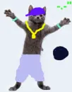 Ball cat dance