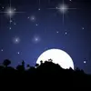beautiful night