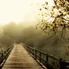 the road