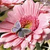 flower and butterfly