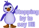 Cute penguin Hi