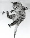 on string