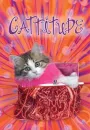 cattitude