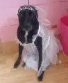 Tia in a fairy princess outfit