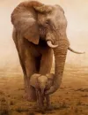 mom and baby