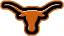 Texas Longhorn