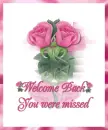 Welcome Back