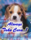 Always Take Care