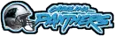Carolina Panthers