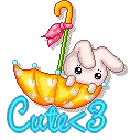 Bunny - Cute