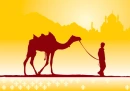 CAMEL WALK