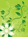 FLOWERS AND SWIRLS