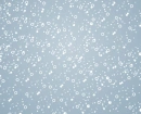 RAINY WINDOW