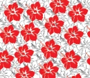 RED HAWAII