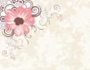 STYLISH FLOWERS