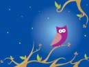 NIGHT OWL